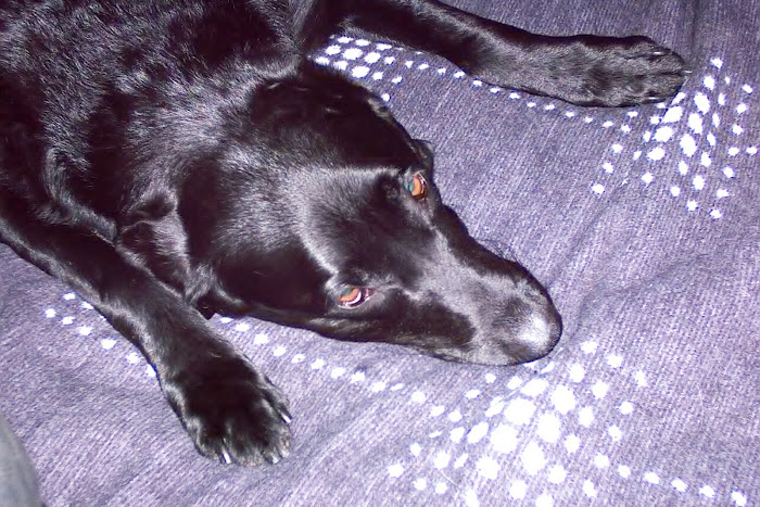 Sampson gives up the bed for his hurting buddy