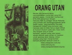POSTER ORANG UTAN!