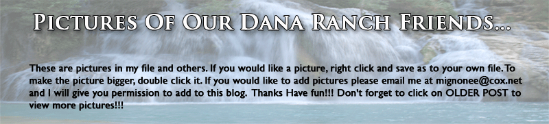 Pictures Of Our Dana Ranch Friends...