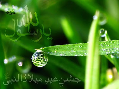 eid-milad-un-nabi-2010-wallpapers.jpg