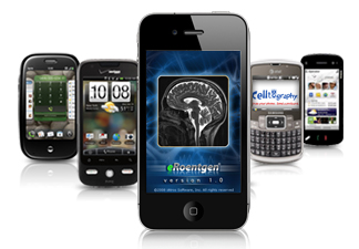 BREW Apps Development