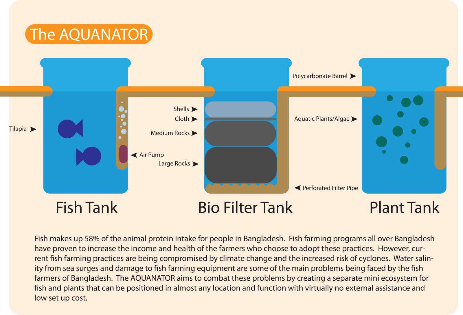 into plant tissues submerged plants and algae add oxygen to the water when the sun shines clean water oxygen and green plant food flow into the fish into plant tissues submerged plants and algae add oxygen to the water when the sun shines clean water oxygen and green plant food flow into the fish