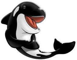 shamu clipart