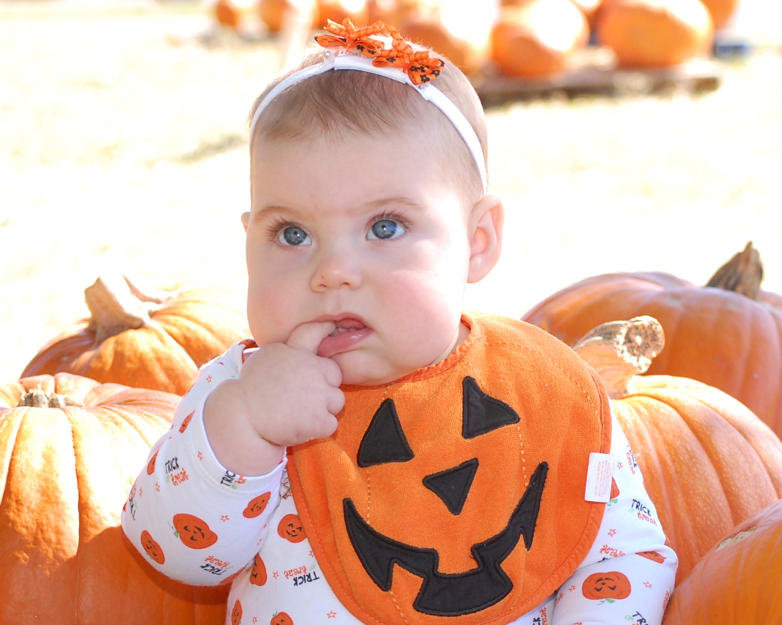 [ava+pumpkin+patch+001.JPG]