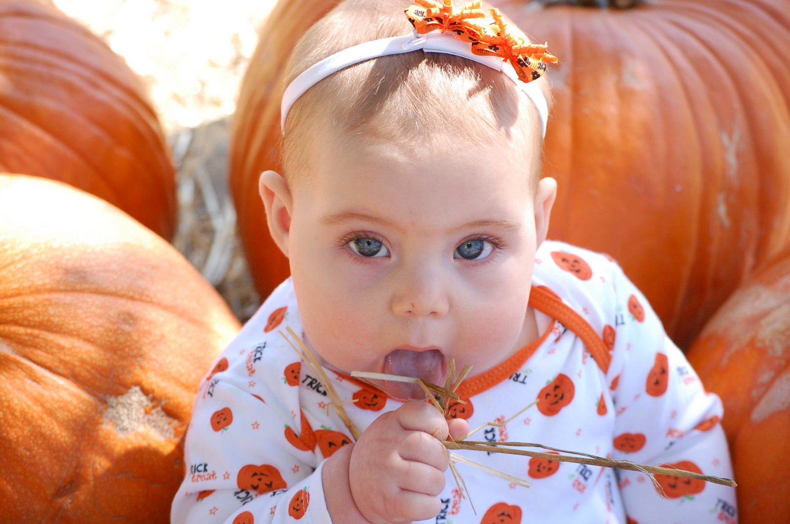 [ava+pumpkin+patch+053.JPG]