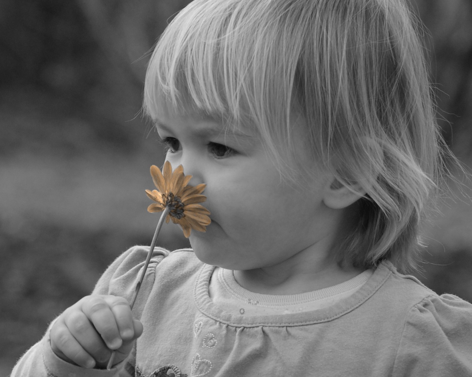 [riley.211.08+029.2JPG.jpg]