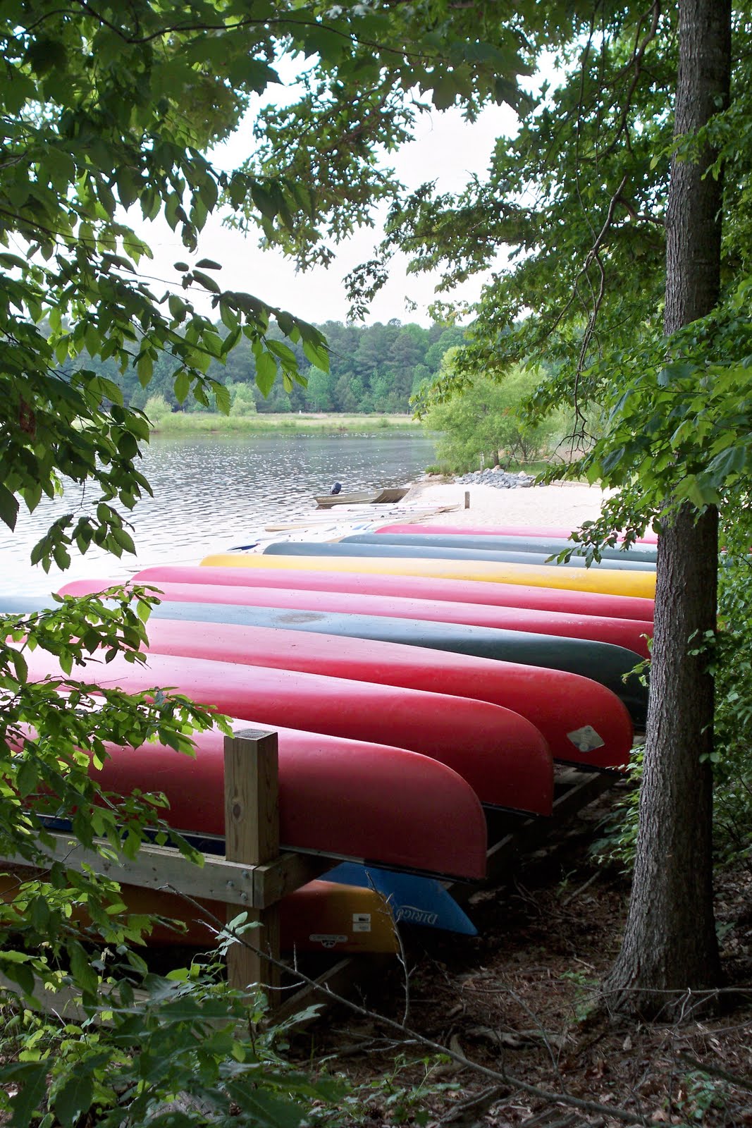 Lake Crabtree Park Morrisville A Guide for Parents in the Triangle