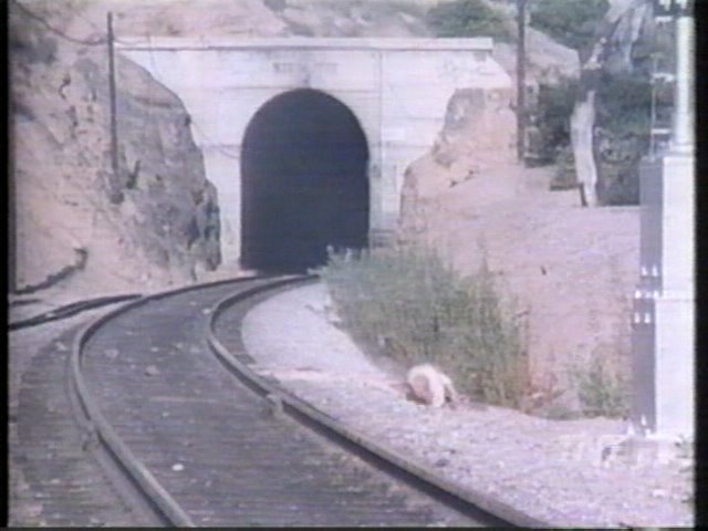 [Capture-124.bmp]