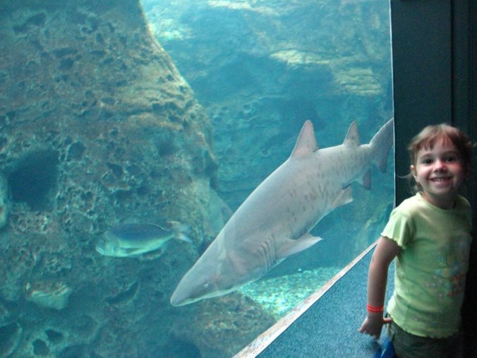 [IMG_0422_resize.jpg]