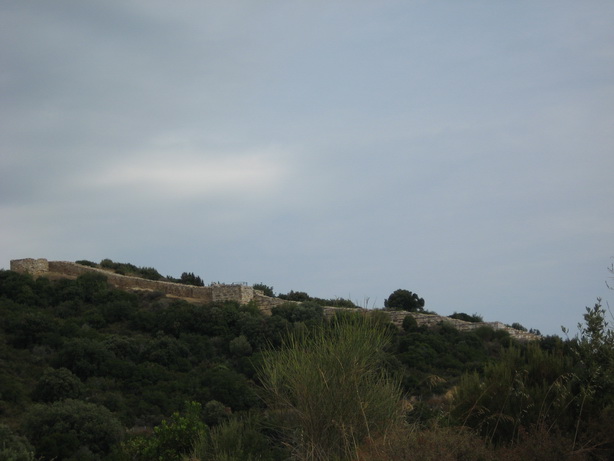 [IMG_3293_resize.JPG]