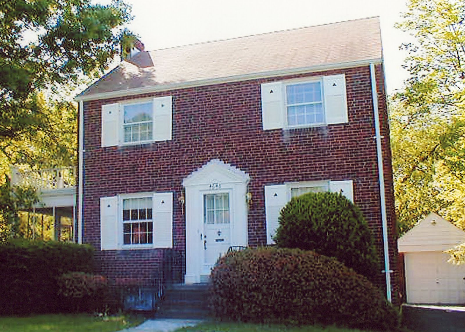 Who Plants Bushes In Front Of A Window The Joy Blog