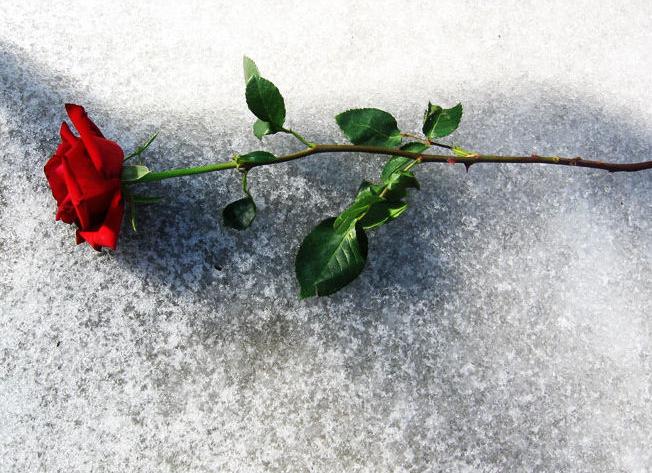 [48_by_DetailPhotography.jpg]