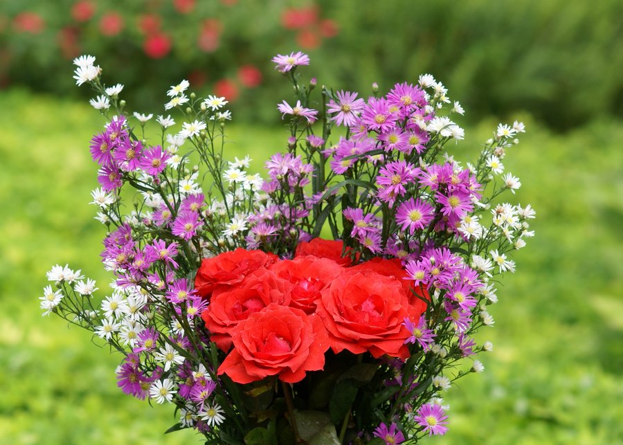 [rosas-dsc02999-a1.jpg]