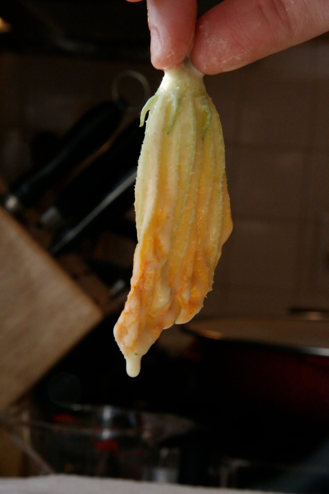 Fried Squash Flowers » Local Food Rocks