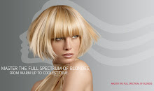 ATTENTION ALL BLONDES! & those who want to be BLONDE!