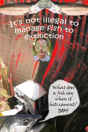 Are Poltics Killing Our Fish?