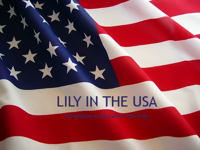 Lily in the USA