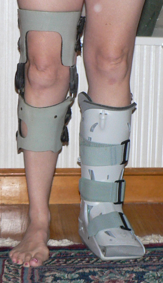 [borg001.JPG]