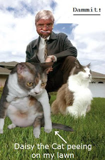 Cat Pee Lawn Care Fertilizer