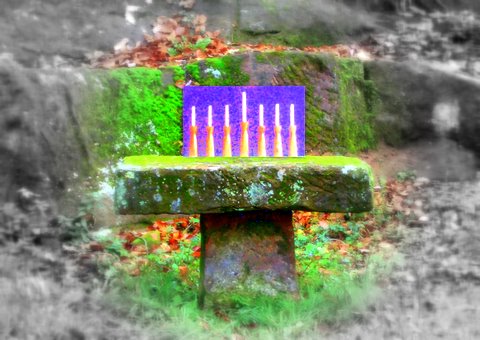 Gegenliebe Dezember 2009