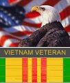 Vietnam Veteran