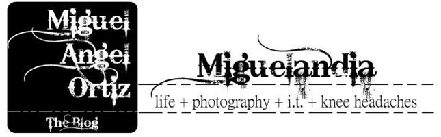 photography - life - it