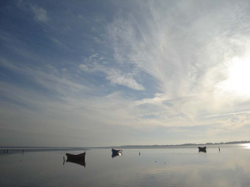 [lagoadospatos01.jpg]