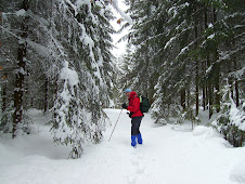 Winterwanderung