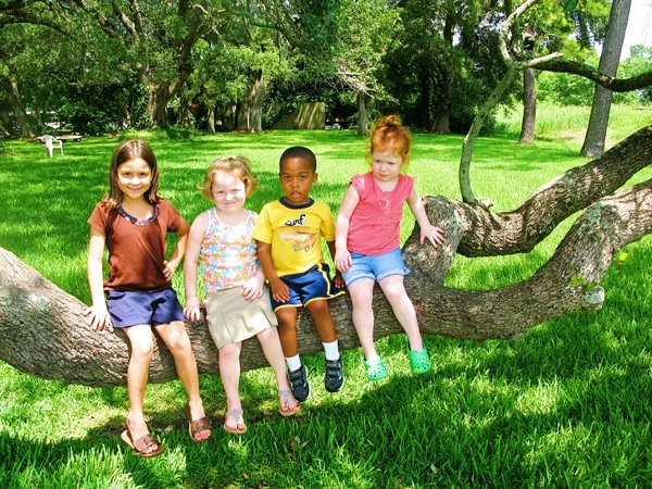 [TreeKids.jpg]