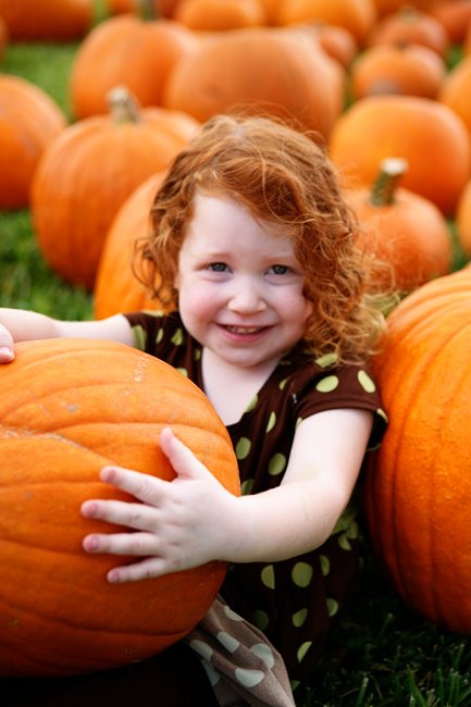 [PumpkinsClara2.jpg]