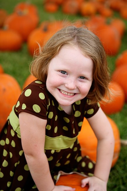 [PumpkinsLila2.jpg]