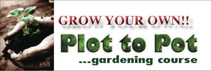 Plot To Pot  - A Gardening Course in Terenure, Dublin, with Michael Fox