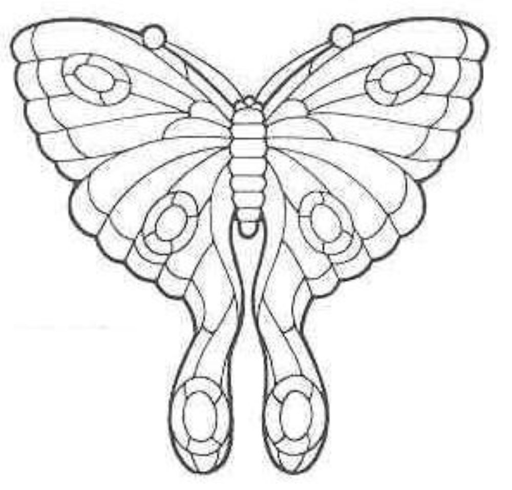 [бабочка+1.JPG]