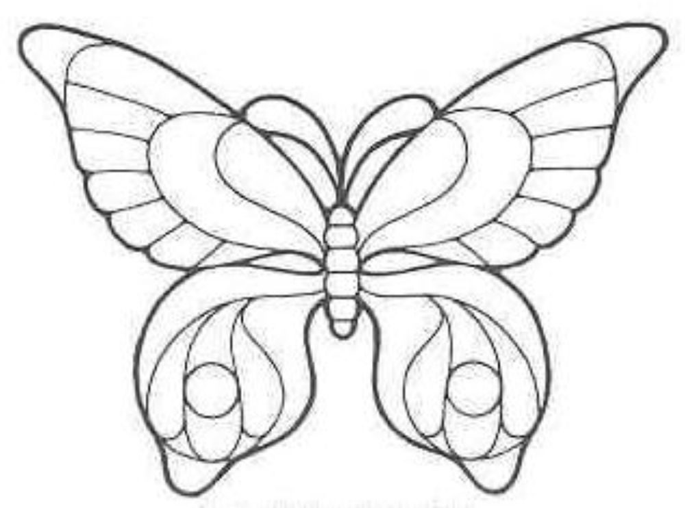 [бабочка+4.JPG]