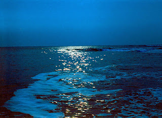 океаны и моря