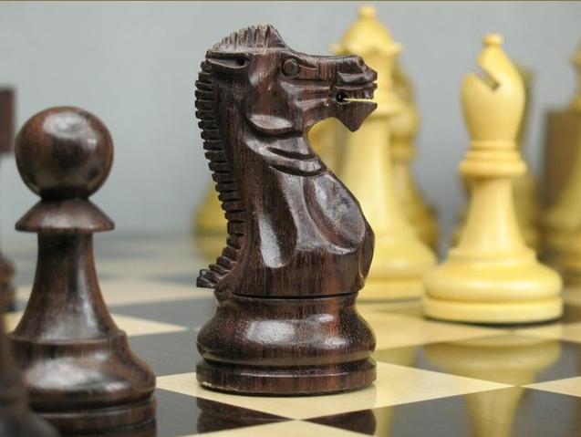 Clube de Xadrez Scacorum Ludus: Ensinar xadrez a partir de uma