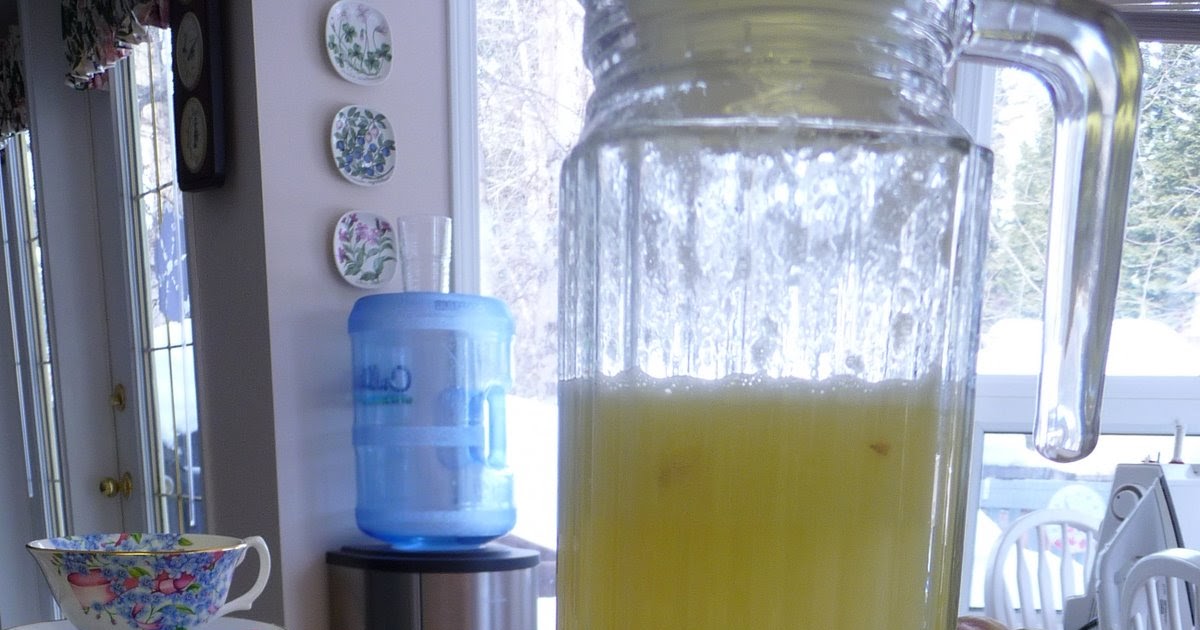 LittleRedSaid....... Fresh Blender Lemonade