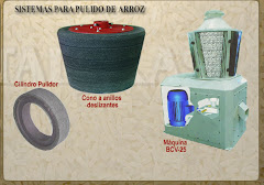 Arroz