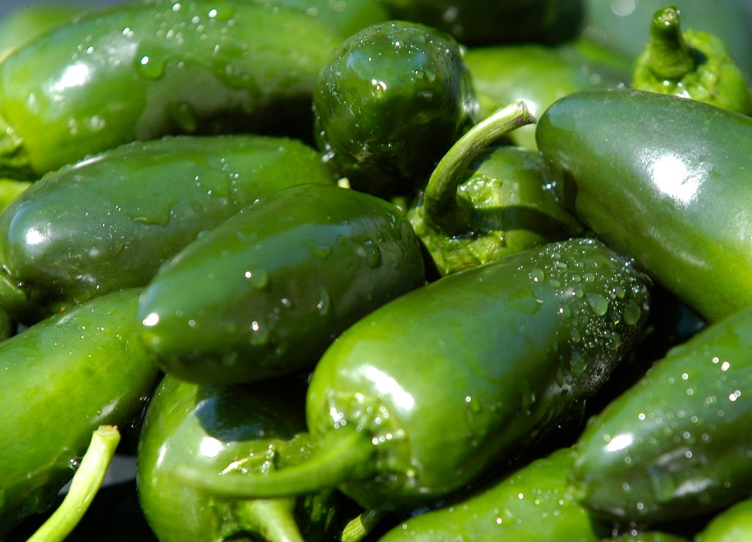 SOL 'N TYNE - Natural From Field to Table: CREAM OF ...