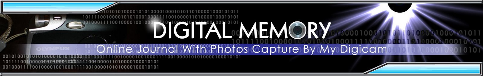 Digital Memory