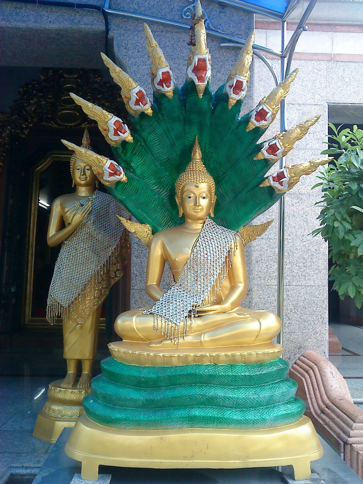 [Buda5.jpg]