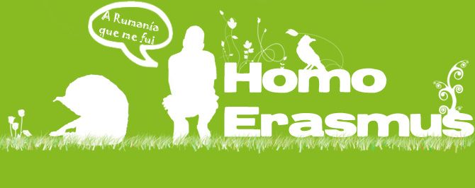 Homo Erasmus