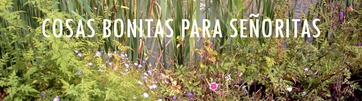 Cosas Bonitas Para Señoritas