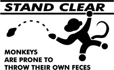 monkeys_fling_poo.jpg