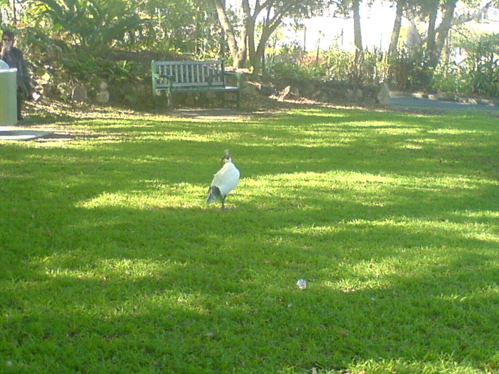 [DSC00187.JPG]