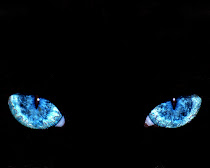 CAT EYES