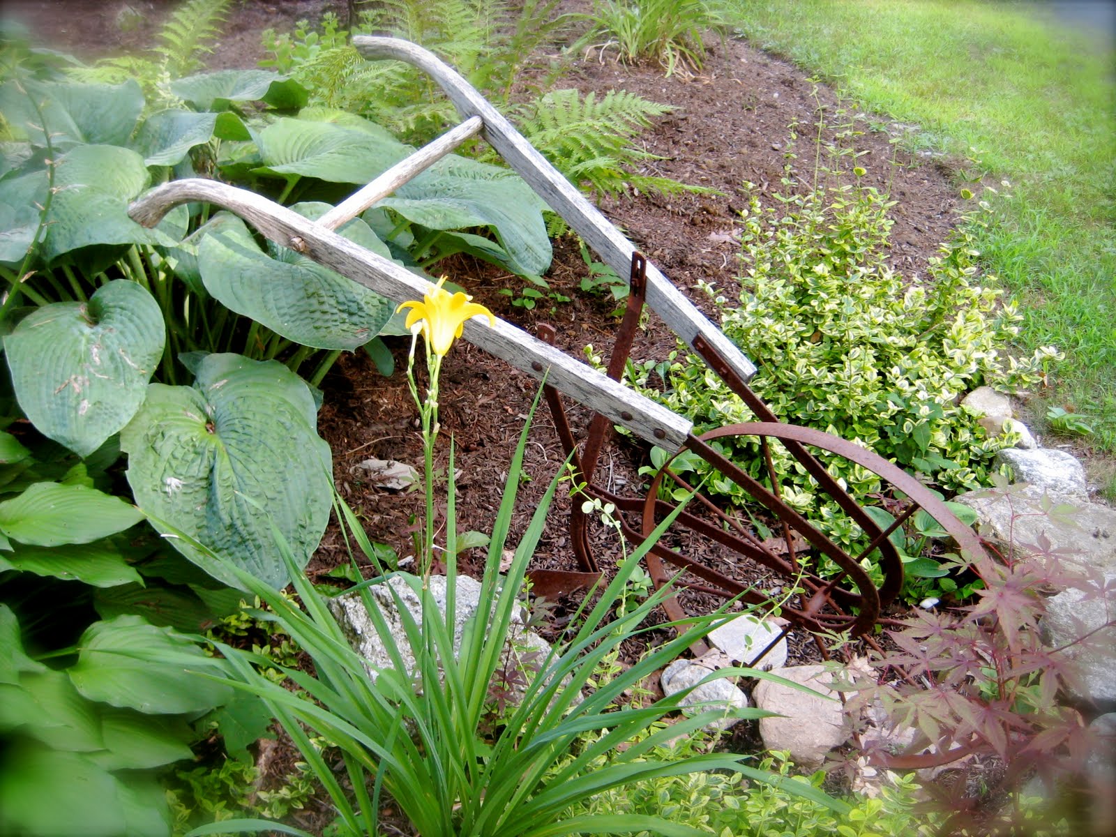 Boston Bee Check Out Funky Junk Interiors Gardens Of Rust