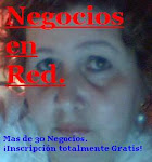 NEGOCIOS EN RED.
