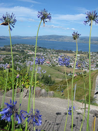 A View of Rotorua