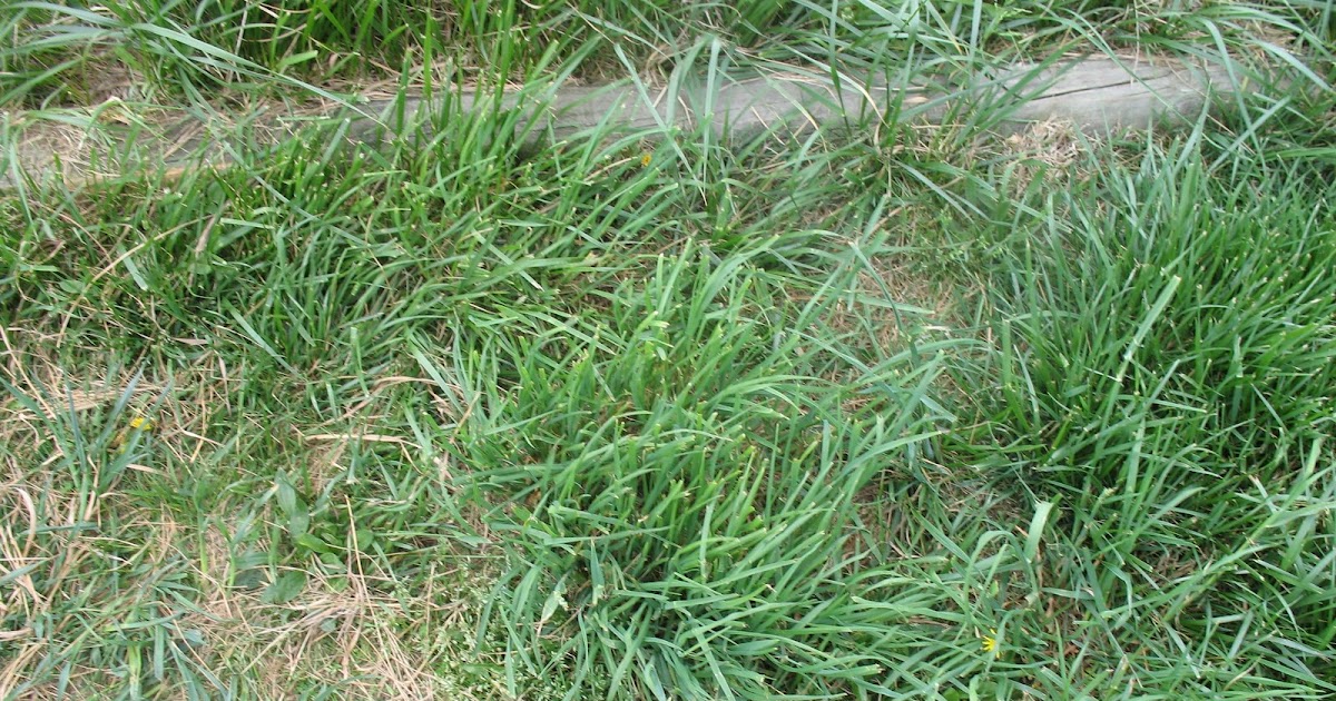 University of Delaware Cooperative Extension, Kent Co., Commercial